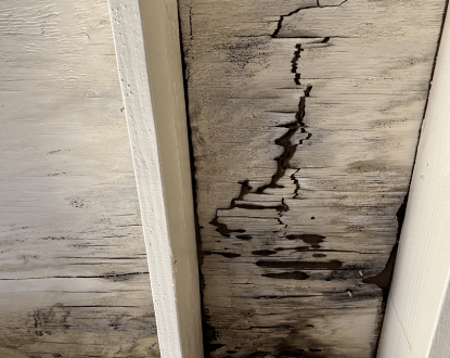 <p style="font-family: 'Poppins', sans-serif; font-weight: 700; font-size:24px;">TERMITE CONTROL</p>